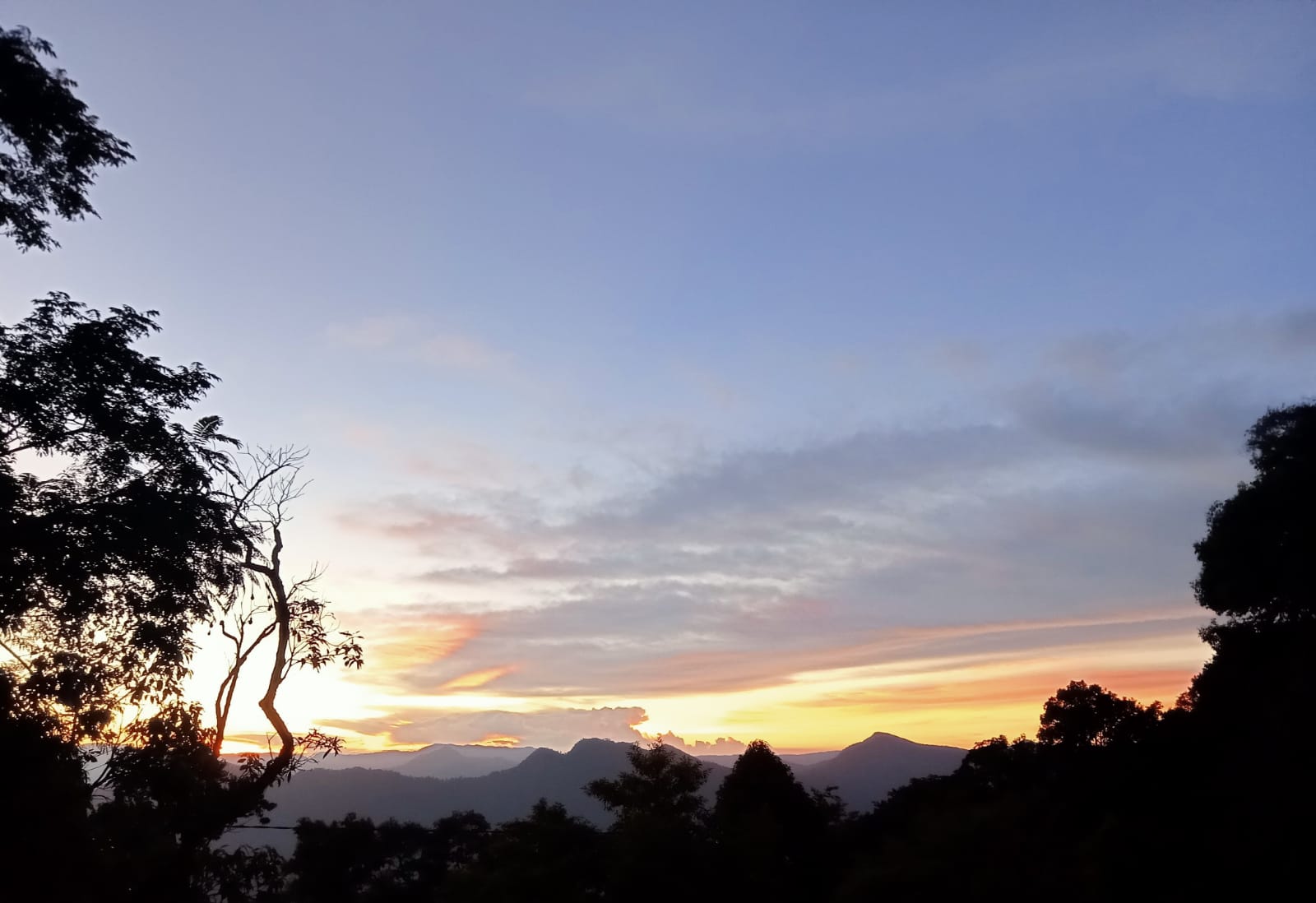 Golden Hours: The Quiet Art of Ending Beautifully